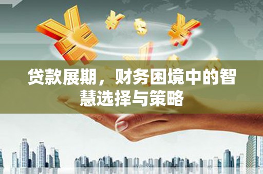 蛟河贷款展期，财务困境中的智慧选择与策略