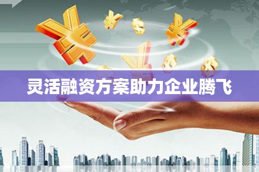 蛟河灵活融资方案助力企业腾飞