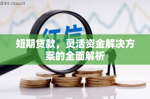 蛟河短期贷款，灵活资金解决方案的全面解析