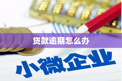 蛟河贷款逾期怎么办
