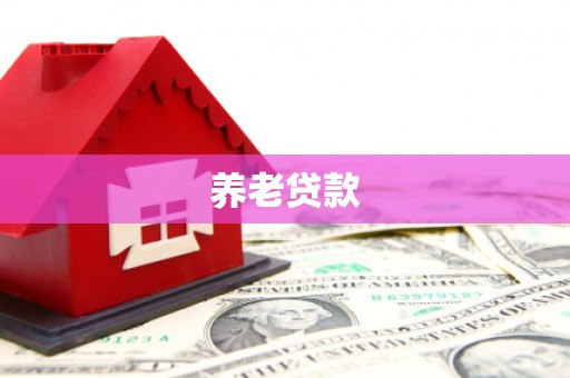 蛟河养老贷款