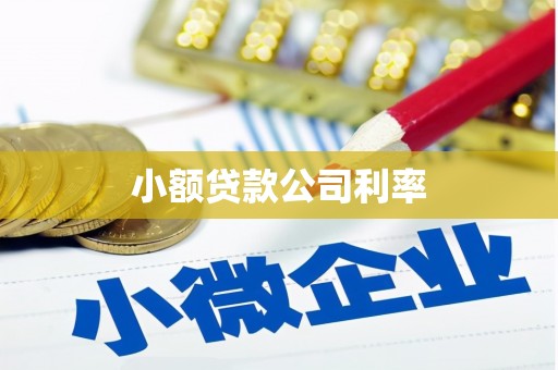 蛟河小额贷款公司利率