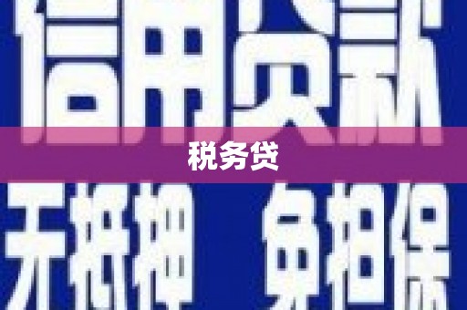 蛟河税务贷