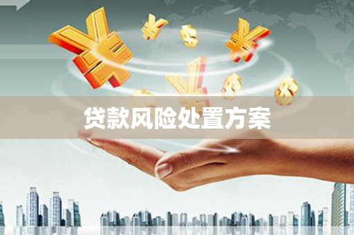 蛟河贷款风险处置方案