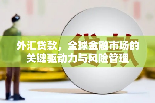 蛟河外汇贷款，全球金融市场的关键驱动力与风险管理