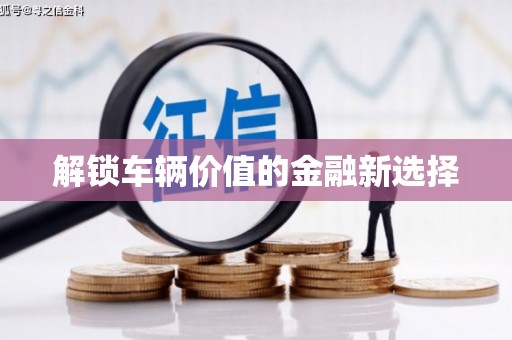 蛟河解锁车辆价值的金融新选择