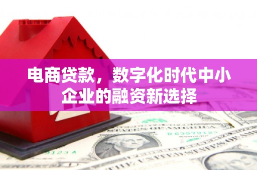 蛟河电商贷款，数字化时代中小企业的融资新选择