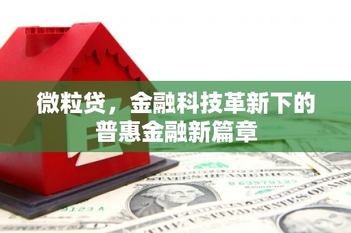 蛟河微粒贷，金融科技革新下的普惠金融新篇章