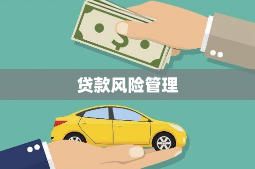 蛟河贷款风险管理