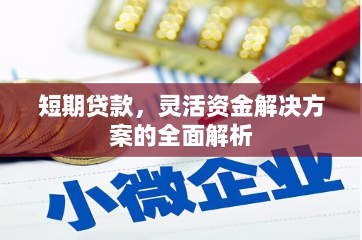 蛟河短期贷款，灵活资金解决方案的全面解析