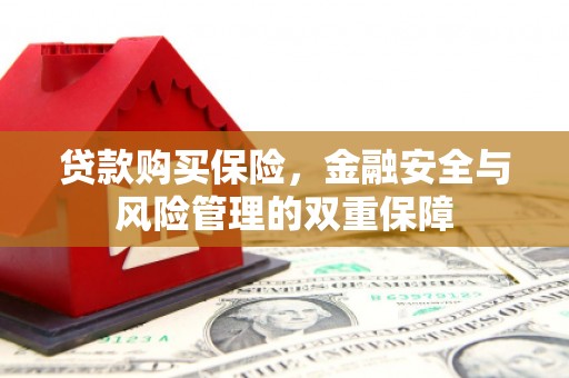 蛟河贷款购买保险，金融安全与风险管理的双重保障