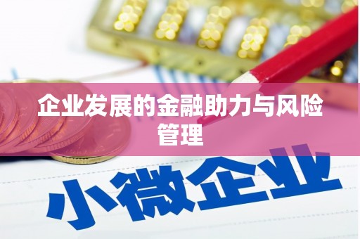蛟河企业发展的金融助力与风险管理
