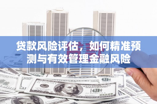 蛟河贷款风险评估，如何精准预测与有效管理金融风险