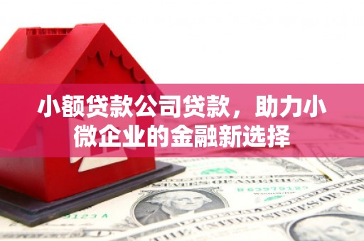蛟河小额贷款公司贷款，助力小微企业的金融新选择