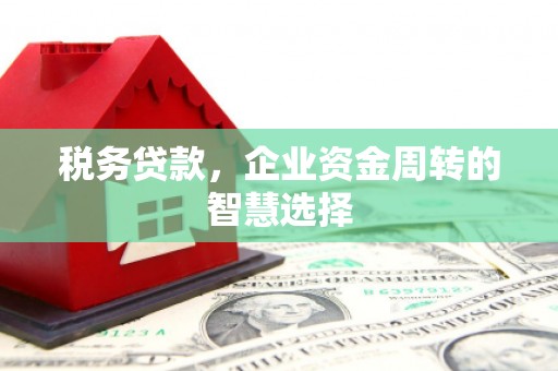 蛟河税务贷款，企业资金周转的智慧选择