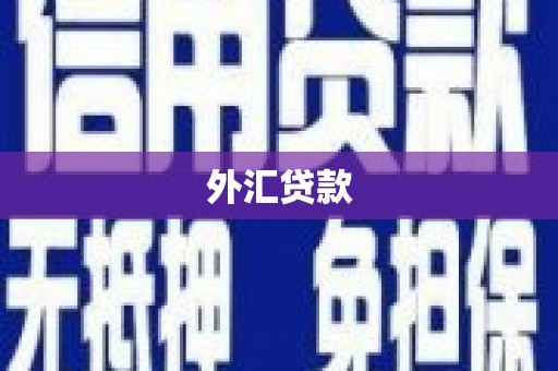 蛟河外汇贷款