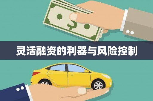 蛟河灵活融资的利器与风险控制