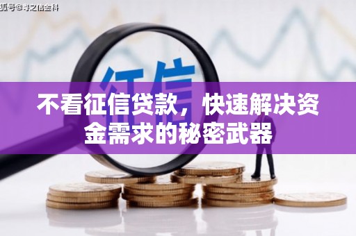 蛟河不看征信贷款，快速解决资金需求的秘密武器