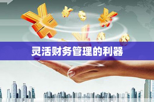 蛟河灵活财务管理的利器