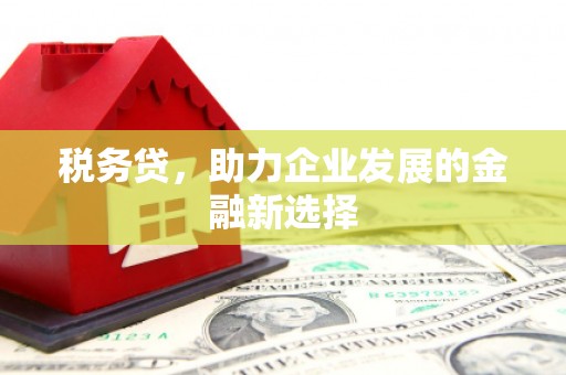 蛟河税务贷，助力企业发展的金融新选择