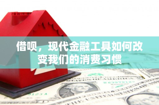 蛟河借呗，现代金融工具如何改变我们的消费习惯
