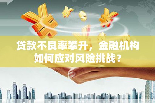 蛟河贷款不良率攀升，金融机构如何应对风险挑战？