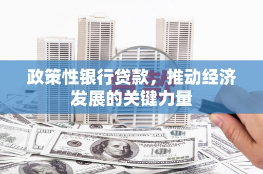 蛟河政策性银行贷款，推动经济发展的关键力量