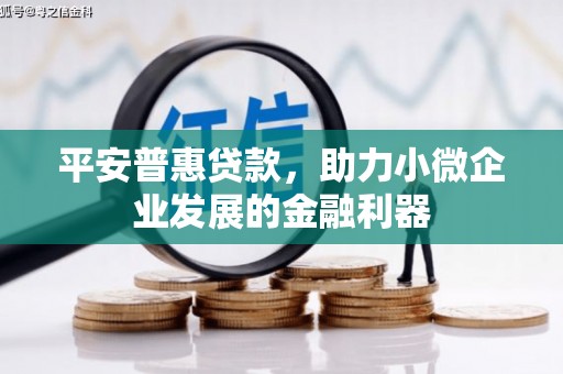 蛟河平安普惠贷款，助力小微企业发展的金融利器
