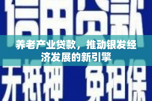 蛟河养老产业贷款，推动银发经济发展的新引擎