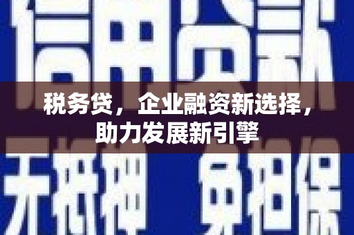 蛟河税务贷，企业融资新选择，助力发展新引擎