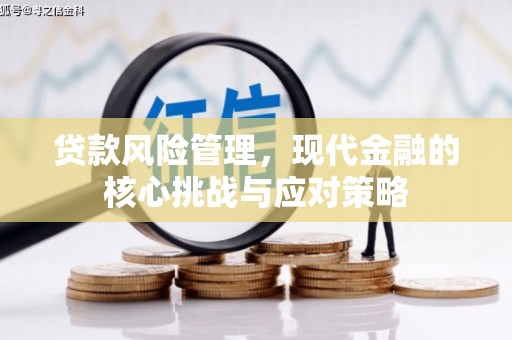 蛟河贷款风险管理，现代金融的核心挑战与应对策略