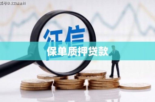 蛟河保单质押贷款