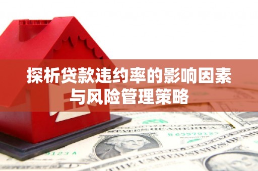蛟河探析贷款违约率的影响因素与风险管理策略