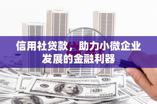 蛟河信用社贷款，助力小微企业发展的金融利器