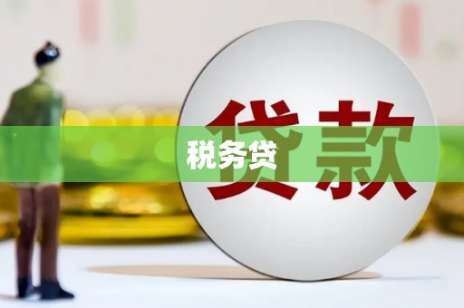 蛟河税务贷