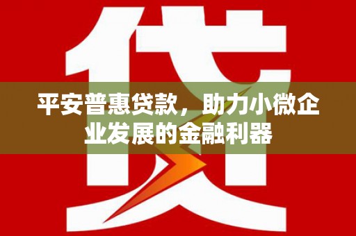 蛟河平安普惠贷款，助力小微企业发展的金融利器
