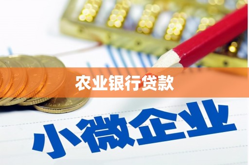 蛟河农业银行贷款