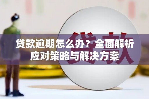 蛟河贷款逾期怎么办？全面解析应对策略与解决方案