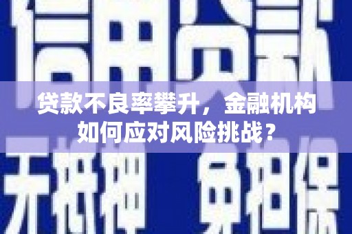 蛟河贷款不良率攀升，金融机构如何应对风险挑战？