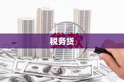 蛟河税务贷
