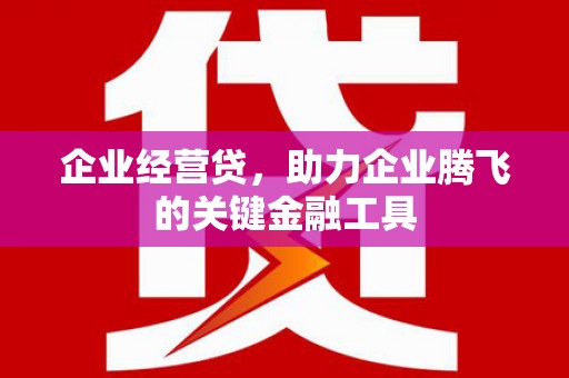 蛟河企业经营贷，助力企业腾飞的关键金融工具