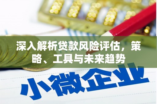 蛟河深入解析贷款风险评估，策略、工具与未来趋势