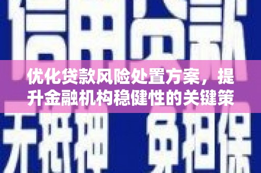 蛟河优化贷款风险处置方案，提升金融机构稳健性的关键策略