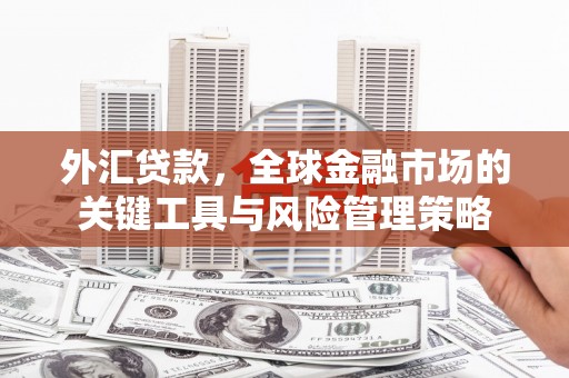蛟河外汇贷款，全球金融市场的关键工具与风险管理策略