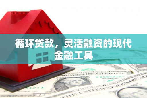 蛟河循环贷款，灵活融资的现代金融工具