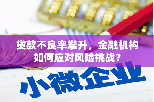 蛟河贷款不良率攀升，金融机构如何应对风险挑战？