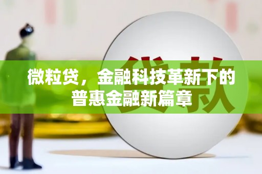 蛟河微粒贷，金融科技革新下的普惠金融新篇章
