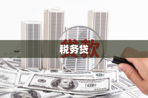 蛟河税务贷