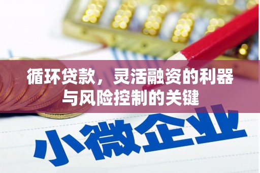 蛟河循环贷款，灵活融资的利器与风险控制的关键