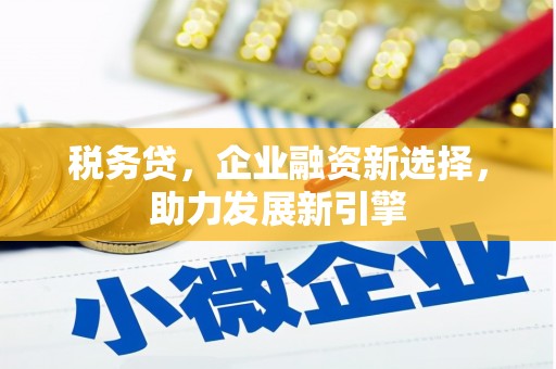 蛟河税务贷，企业融资新选择，助力发展新引擎